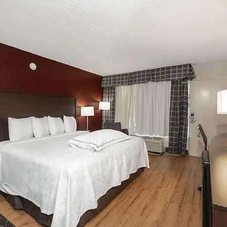 Red Roof Inn PLUS+ St. Augustine Exterior foto